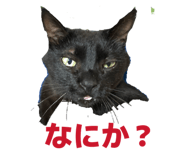 835124904