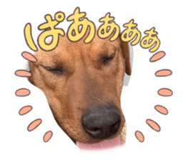 835125184