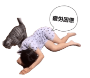 835125504