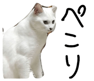835125781