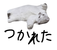 835125783