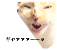 835126316