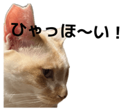 835126320