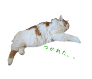 835127182