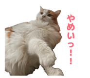 835127187