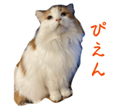 835127190