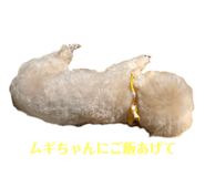 835128111
