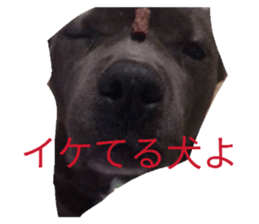835129752