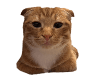 835131754