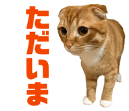 835131758