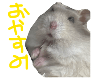 835136586