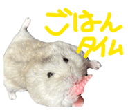 835136588