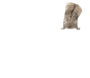 835136589
