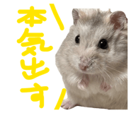 835136590