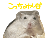 835136591