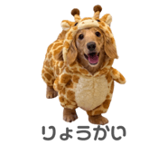 835138093