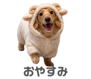 835138095