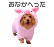 835138098
