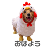 835138099