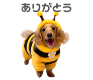 835138102