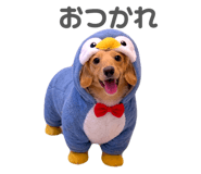 835138110