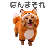 835138126