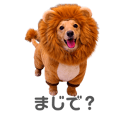 835138127