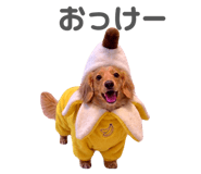 835138128