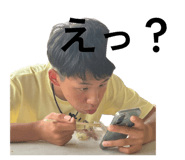 835150032