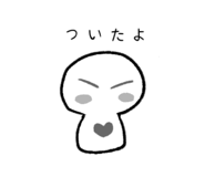 835151116