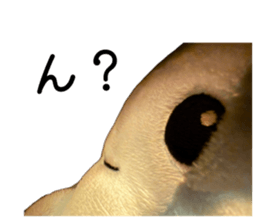 835152135