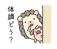 835194649