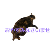 835195341