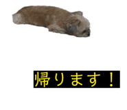835195351