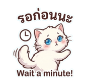 835195977