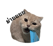 835198991