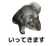 835200147
