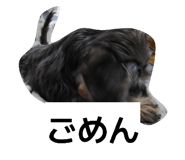 835200148