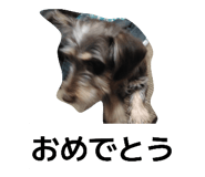 835200149