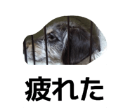 835200151