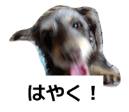 835200153