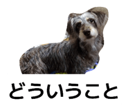 835200154