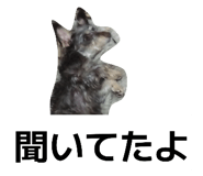 835200155