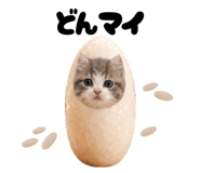 835201975