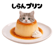 835201979