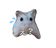 835202769
