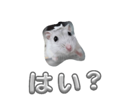 835202776