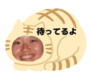 835203155