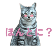 835203424