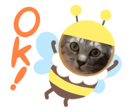 835203425